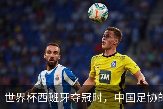 世界杯西班牙夺冠时，中国足协的落马官员们正在踩缝纫机