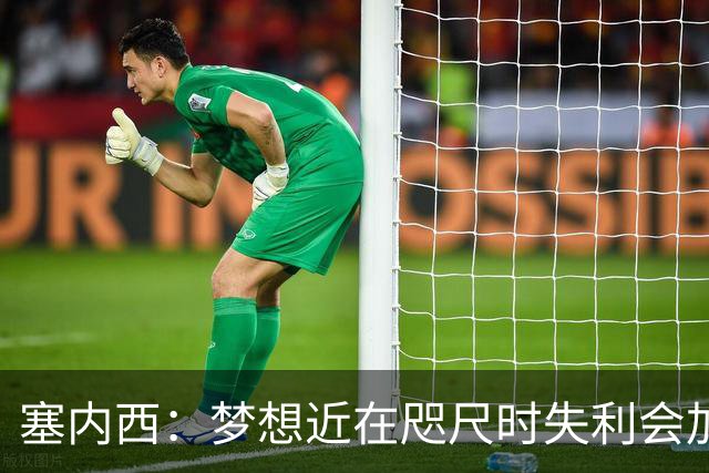 塞内西：梦想近在咫尺时失利会加倍刺痛，我们会重新站起来