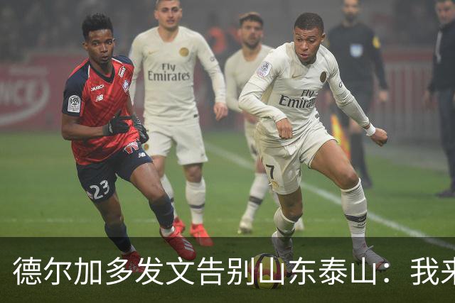 德尔加多发文告别山东泰山：我来时是个男孩，走时已是男人