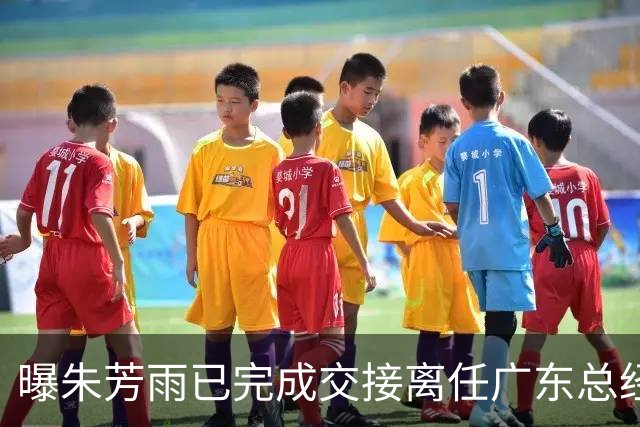 曝朱芳雨已完成交接离任广东总经理，上赛季战绩不佳引重建？